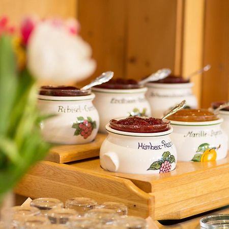 Aparthotel Holzerhof Schladming Esterno foto